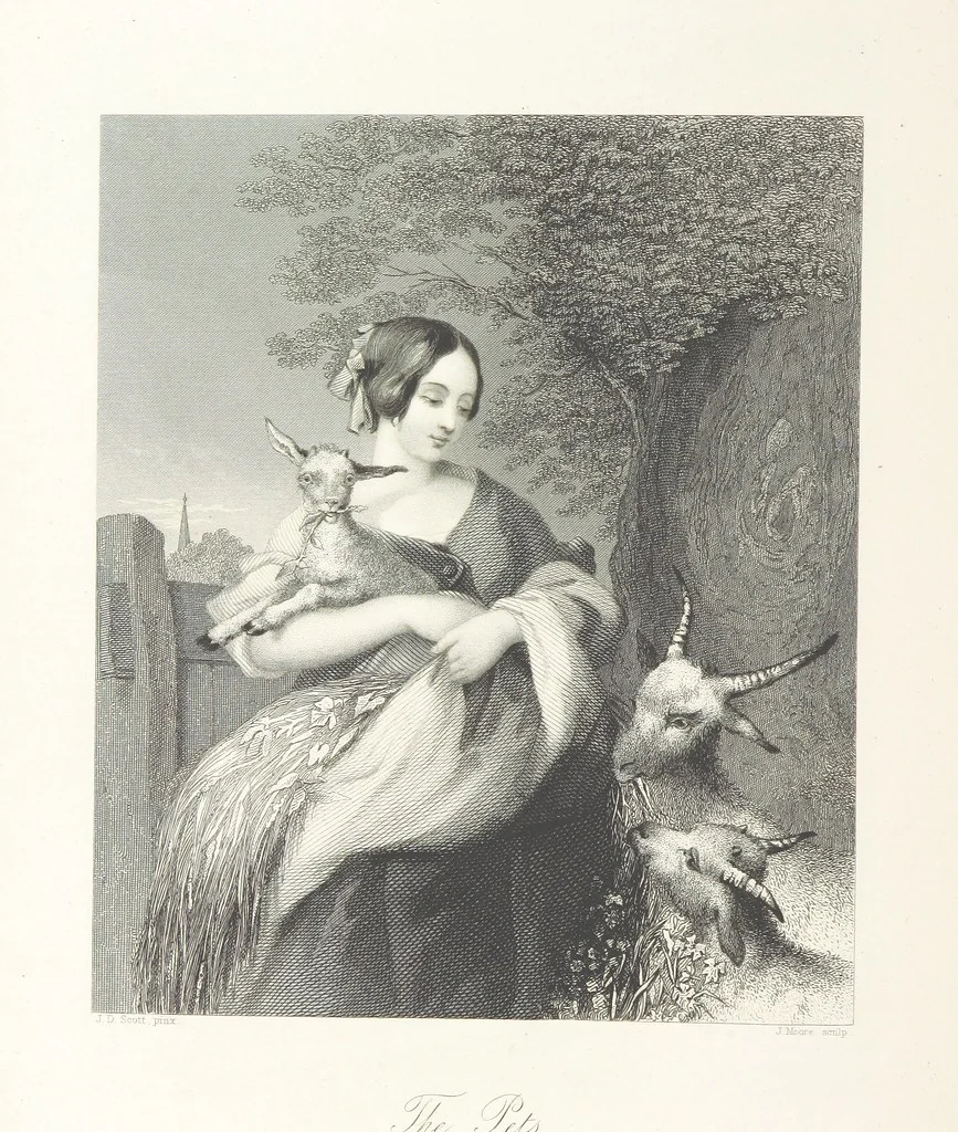 An illustration from The American in Europe: being “guesses” and “calculations” on men and manners; made during a tour through the most important portions of Europe. [With plates, 1850, leaf 342