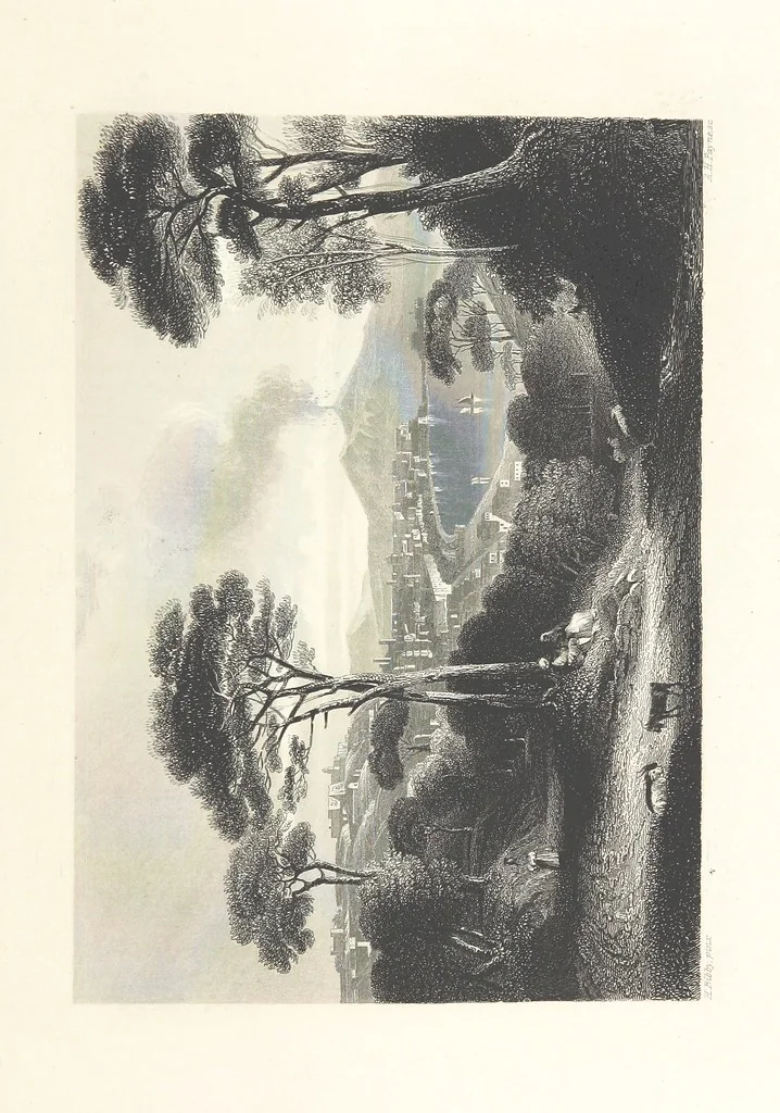 An illustration from The American in Europe: being “guesses” and “calculations” on men and manners; made during a tour through the most important portions of Europe. [With plates, 1850, leaf 485