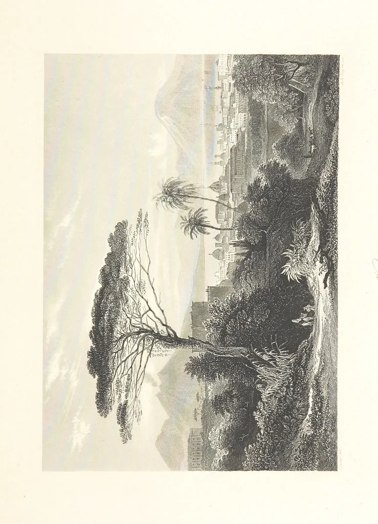 An illustration from The American in Europe: being “guesses” and “calculations” on men and manners; made during a tour through the most important portions of Europe. [With plates, 1850, leaf 491