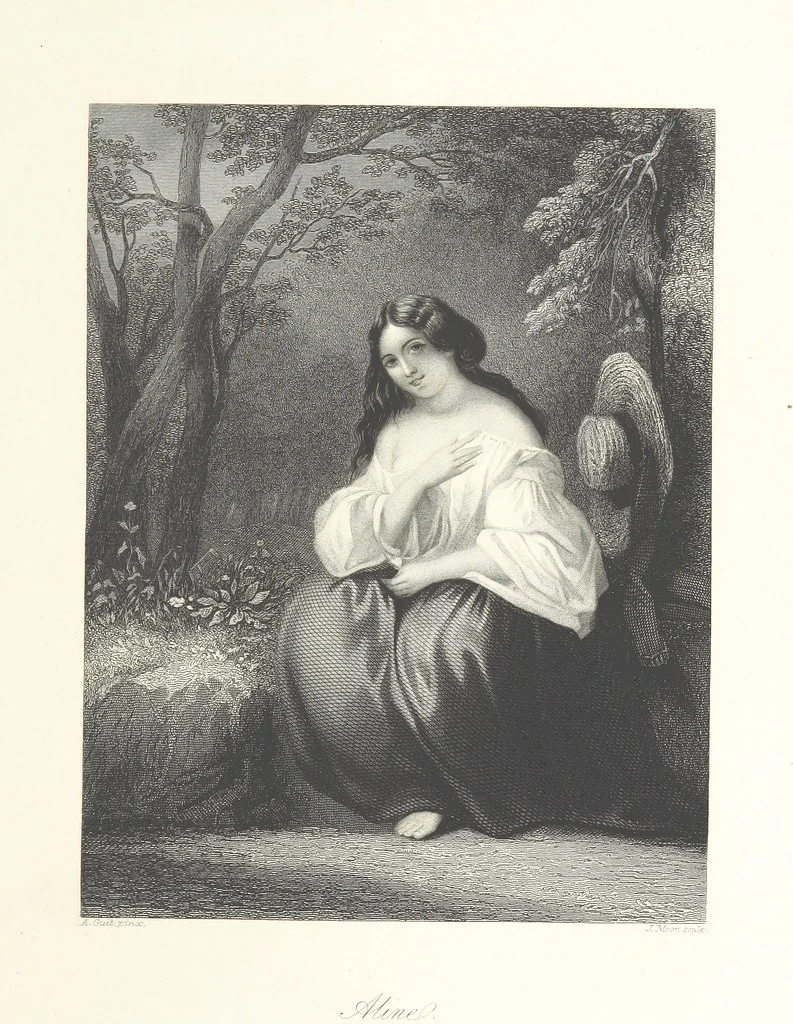 An illustration from The American in Europe: being “guesses” and “calculations” on men and manners; made during a tour through the most important portions of Europe. [With plates, 1850, leaf 65
