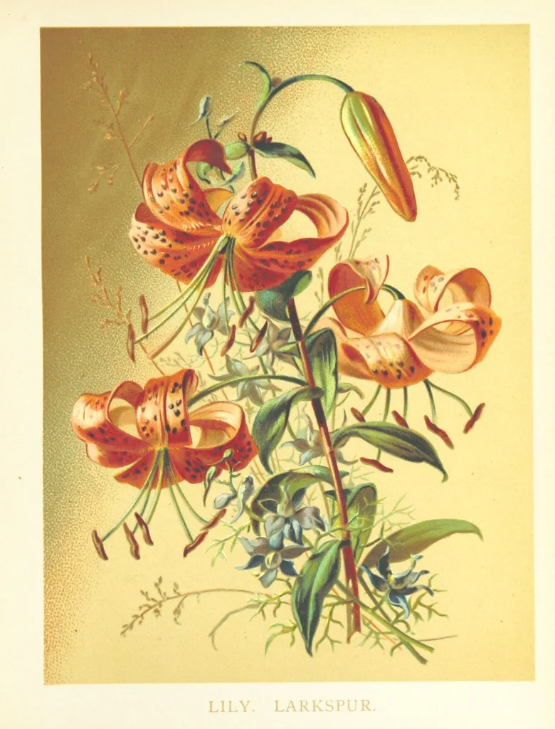 An illustration from Poets in the Garden. [With plates, 1886, leaf 137