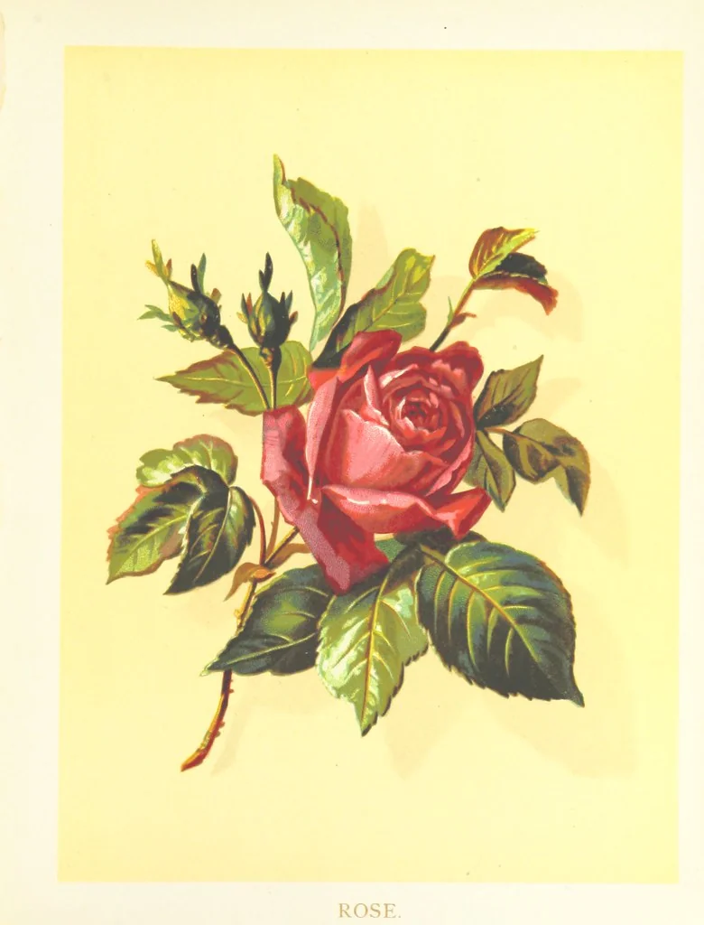 An illustration from Poets in the Garden. [With plates, 1886, leaf 201