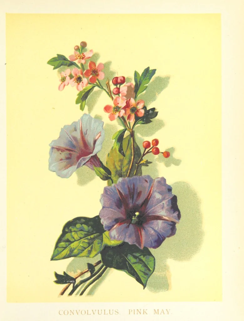 An illustration from Poets in the Garden. [With plates, 1886, leaf 49