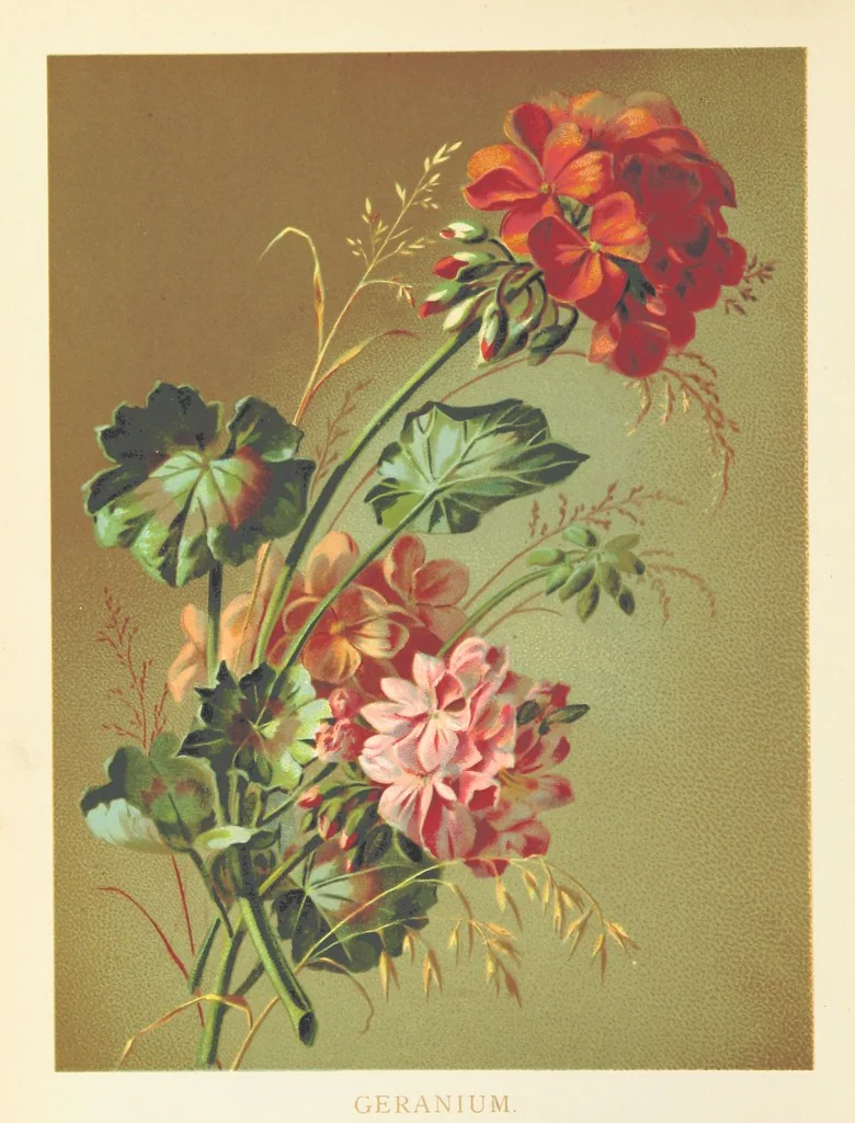 An illustration from Poets in the Garden. [With plates, 1886, leaf 6
