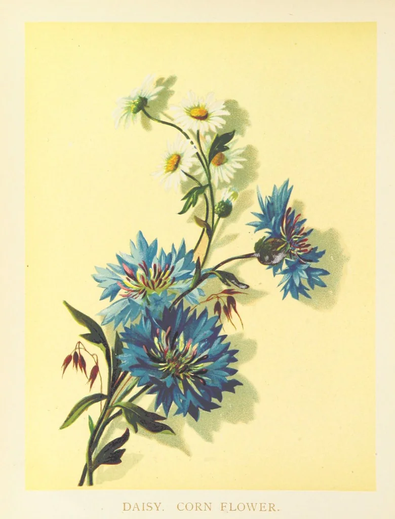An illustration from Poets in the Garden. [With plates, 1886, leaf 60