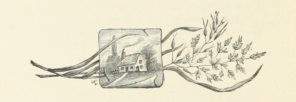 An illustration from Poets in the Garden. [With plates, 1886, leaf 234