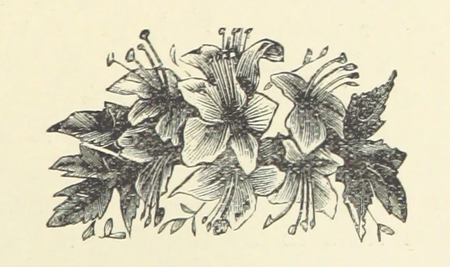 An illustration from Across the Channel; or, Picture-stories of foreign lands. [With illustrations, 1888, leaf 129
