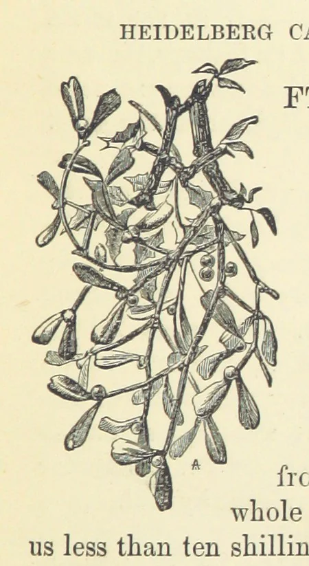 An illustration from Across the Channel; or, Picture-stories of foreign lands. [With illustrations, 1888, leaf 189