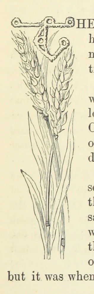 An illustration from Across the Channel; or, Picture-stories of foreign lands. [With illustrations, 1888, leaf 203