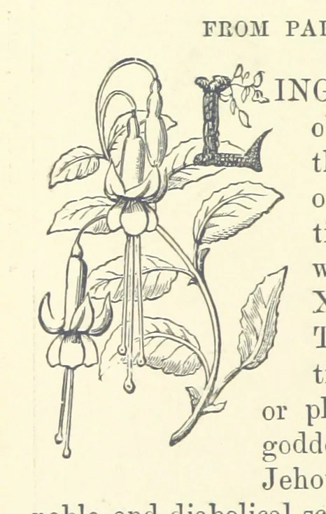 An illustration from Across the Channel; or, Picture-stories of foreign lands. [With illustrations, 1888, leaf 28