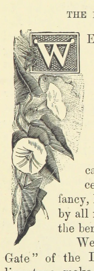 An illustration from Across the Channel; or, Picture-stories of foreign lands. [With illustrations, 1888, leaf 41