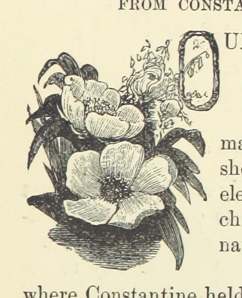 An illustration from Across the Channel; or, Picture-stories of foreign lands. [With illustrations, 1888, leaf 83