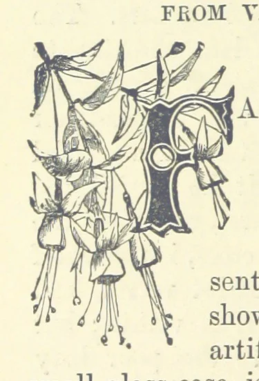 An illustration from Across the Channel; or, Picture-stories of foreign lands. [With illustrations, 1888, leaf 90