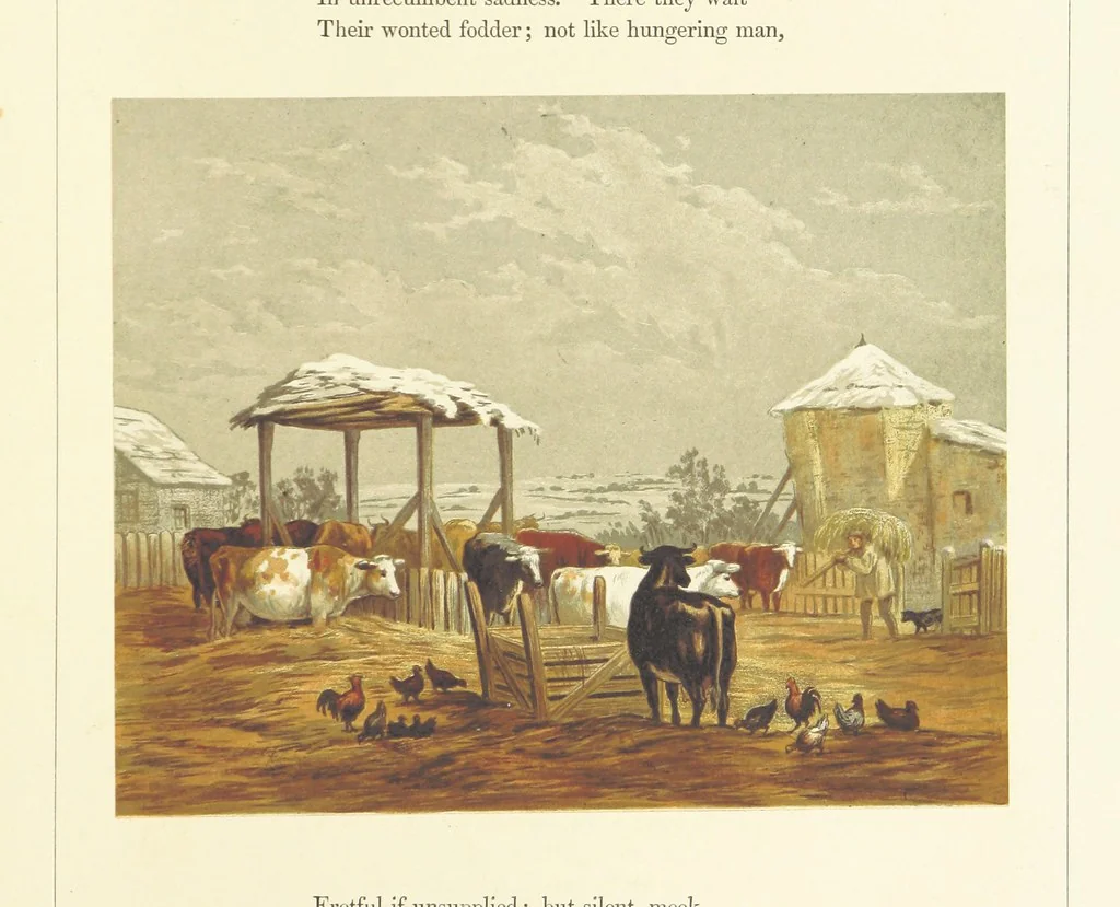 An illustration from Poetry of the year. Passages from the poets descriptive of the seasons. With twenty-two coloured illustrations from drawings by eminent artists.[Edited by Joseph Cundall, 1853, leaf 149