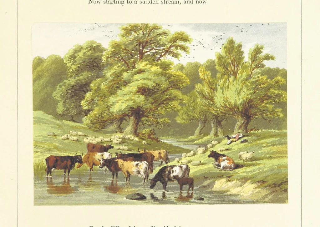 An illustration from Poetry of the year. Passages from the poets descriptive of the seasons. With twenty-two coloured illustrations from drawings by eminent artists.[Edited by Joseph Cundall, 1853, leaf 71
