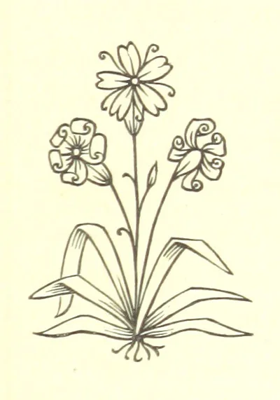 An illustration from Nebraska, its advantages, resources, and drawbacks. Illustrated, 1875, leaf 159