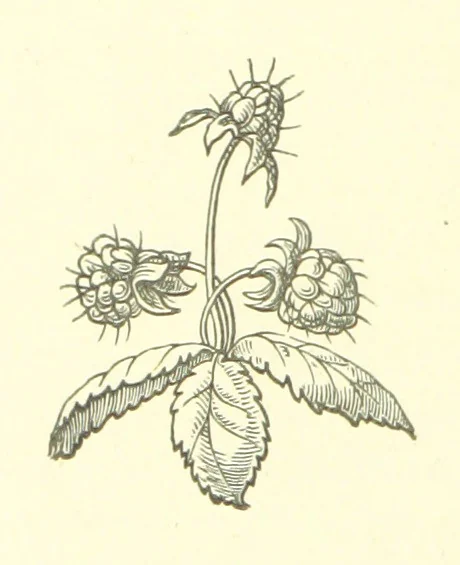 An illustration from Nebraska, its advantages, resources, and drawbacks. Illustrated, 1875, leaf 16