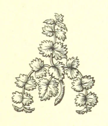An illustration from Nebraska, its advantages, resources, and drawbacks. Illustrated, 1875, leaf 195
