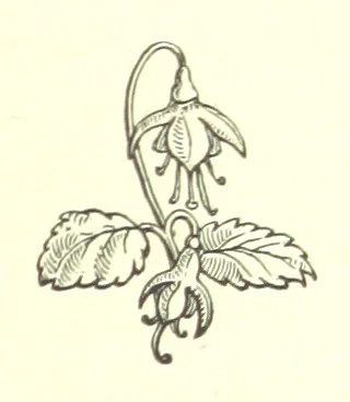 An illustration from Nebraska, its advantages, resources, and drawbacks. Illustrated, 1875, leaf 247