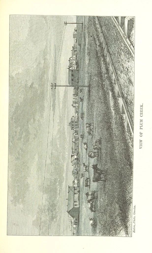 An illustration from Nebraska, its advantages, resources, and drawbacks. Illustrated, 1875, leaf 319