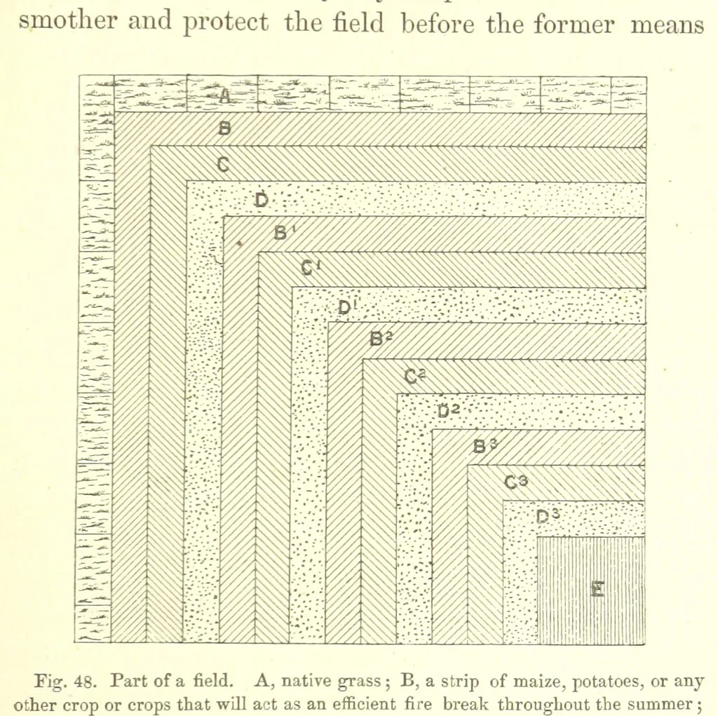 An illustration from Nebraska, its advantages, resources, and drawbacks. Illustrated, 1875, leaf 341