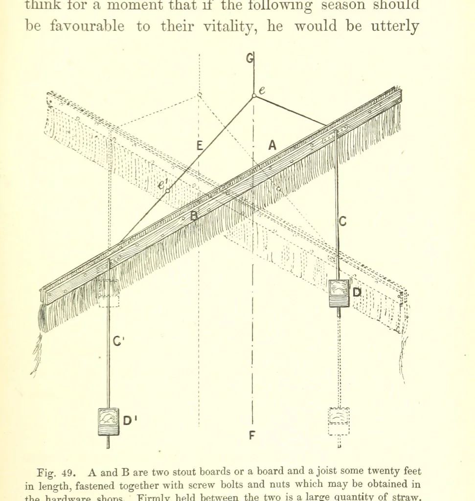 An illustration from Nebraska, its advantages, resources, and drawbacks. Illustrated, 1875, leaf 343