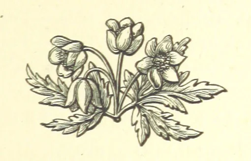An illustration from Nebraska, its advantages, resources, and drawbacks. Illustrated, 1875, leaf 63