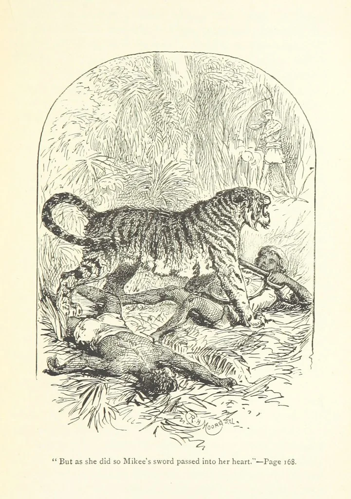 An illustration from The White Elephant; or, the Hunters of Ava and the King of the Golden Foot ... With illustrations by Harrison Weir, 1888, leaf 173