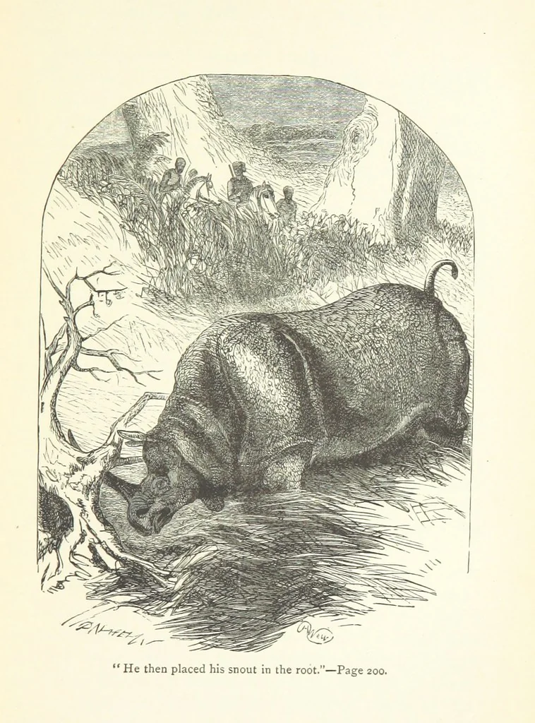 An illustration from The White Elephant; or, the Hunters of Ava and the King of the Golden Foot ... With illustrations by Harrison Weir, 1888, leaf 205