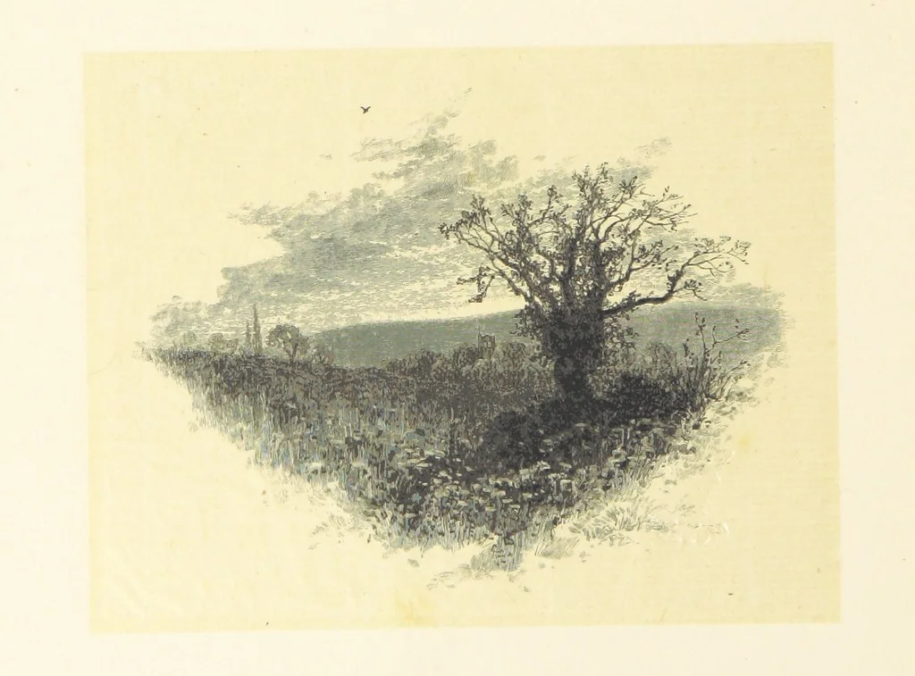 An illustration from Fifty Perfect Poems. Selected and edited by C. A. Dana and Rossiter Johnson. With seventy illustrations, 1883, leaf 104