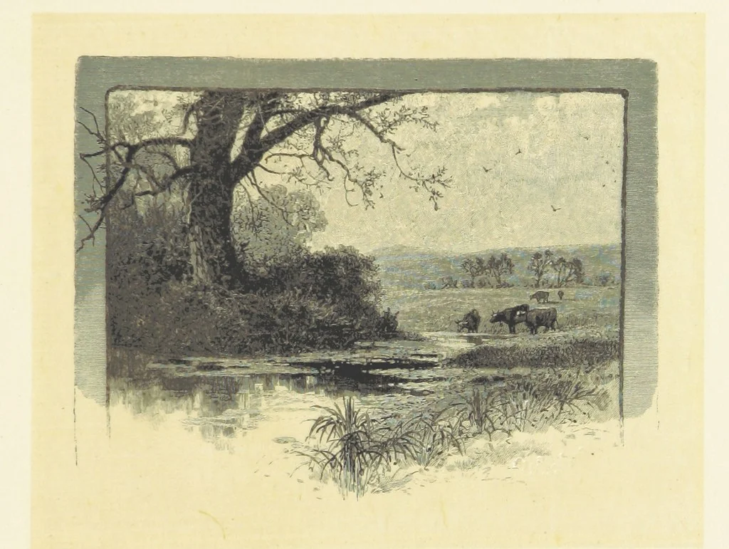An illustration from Fifty Perfect Poems. Selected and edited by C. A. Dana and Rossiter Johnson. With seventy illustrations, 1883, leaf 113