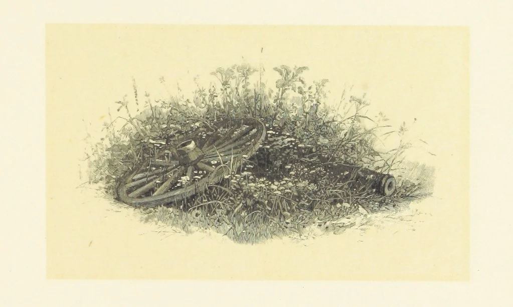 An illustration from Fifty Perfect Poems. Selected and edited by C. A. Dana and Rossiter Johnson. With seventy illustrations, 1883, leaf 115