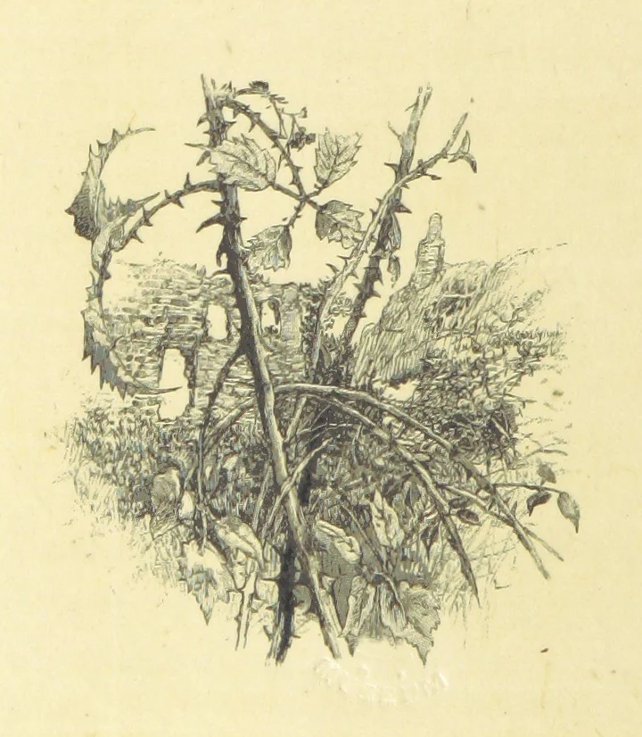 An illustration from Fifty Perfect Poems. Selected and edited by C. A. Dana and Rossiter Johnson. With seventy illustrations, 1883, leaf 56