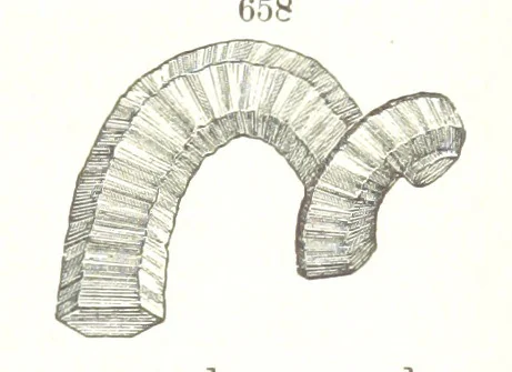 An illustration from A Text-Book of Mineralogy. With an extended treatise on crystallography and physical mineralogy. By E. S. Dana ... on the plan and with the co-operation of Professor James D. Dana, etc, 1877, leaf 353