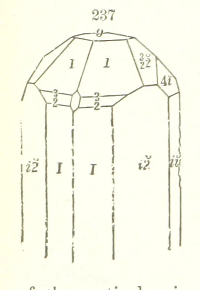 An illustration from A Text-Book of Mineralogy. With an extended treatise on crystallography and physical mineralogy. By E. S. Dana ... on the plan and with the co-operation of Professor James D. Dana, etc, 1877, leaf 74
