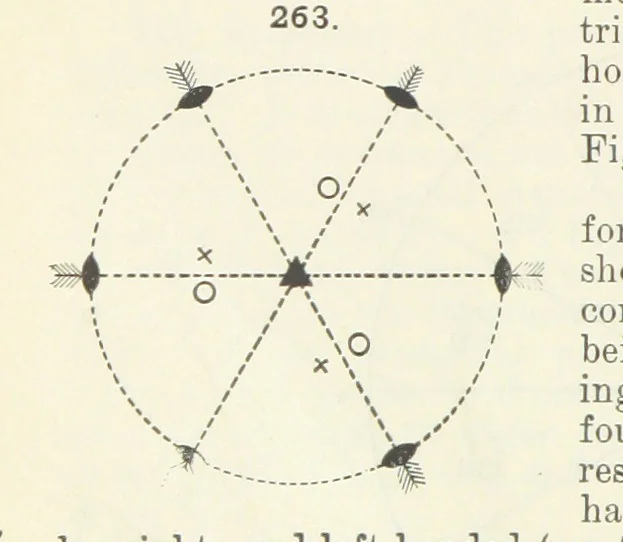 An illustration from A Text-Book of Mineralogy. With an extended treatise on crystallography and physical mineralogy ... on the plan and with the co-operation of ... James D. Dana ... With ... woodcuts ... Newly revised and enlarged. 17th edition, etc, 1898, leaf 100
