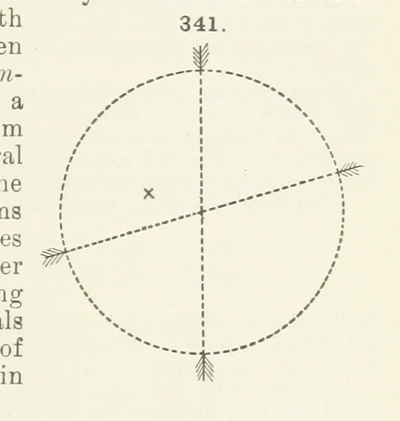An illustration from A Text-Book of Mineralogy. With an extended treatise on crystallography and physical mineralogy ... on the plan and with the co-operation of ... James D. Dana ... With ... woodcuts ... Newly revised and enlarged. 17th edition, etc, 1898, leaf 127
