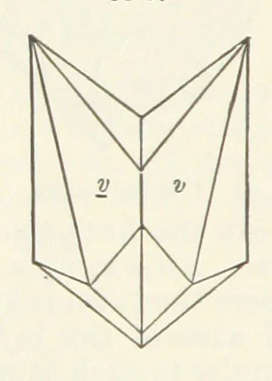 An illustration from A Text-Book of Mineralogy. With an extended treatise on crystallography and physical mineralogy ... on the plan and with the co-operation of ... James D. Dana ... With ... woodcuts ... Newly revised and enlarged. 17th edition, etc, 1898, leaf 144