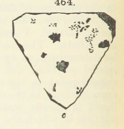 An illustration from A Text-Book of Mineralogy. With an extended treatise on crystallography and physical mineralogy ... on the plan and with the co-operation of ... James D. Dana ... With ... woodcuts ... Newly revised and enlarged. 17th edition, etc, 1898, leaf 158
