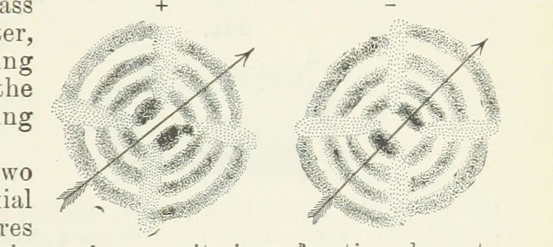 An illustration from A Text-Book of Mineralogy. With an extended treatise on crystallography and physical mineralogy ... on the plan and with the co-operation of ... James D. Dana ... With ... woodcuts ... Newly revised and enlarged. 17th edition, etc, 1898, leaf 219