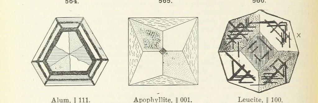 An illustration from A Text-Book of Mineralogy. With an extended treatise on crystallography and physical mineralogy ... on the plan and with the co-operation of ... James D. Dana ... With ... woodcuts ... Newly revised and enlarged. 17th edition, etc, 1898, leaf 248