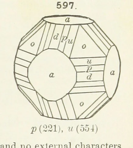 An illustration from A Text-Book of Mineralogy. With an extended treatise on crystallography and physical mineralogy ... on the plan and with the co-operation of ... James D. Dana ... With ... woodcuts ... Newly revised and enlarged. 17th edition, etc, 1898, leaf 305