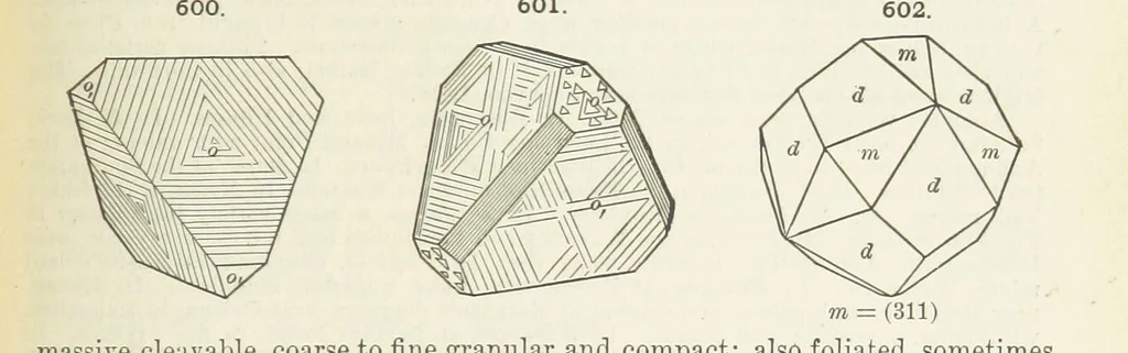 An illustration from A Text-Book of Mineralogy. With an extended treatise on crystallography and physical mineralogy ... on the plan and with the co-operation of ... James D. Dana ... With ... woodcuts ... Newly revised and enlarged. 17th edition, etc, 1898, leaf 309