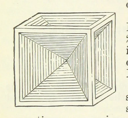 An illustration from A Text-Book of Mineralogy. With an extended treatise on crystallography and physical mineralogy ... on the plan and with the co-operation of ... James D. Dana ... With ... woodcuts ... Newly revised and enlarged. 17th edition, etc, 1898, leaf 336