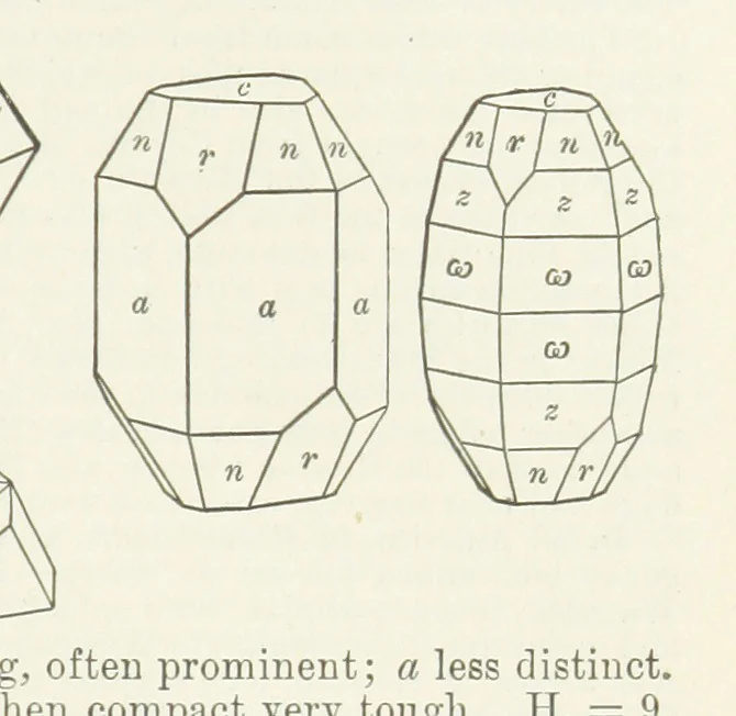 An illustration from A Text-Book of Mineralogy. With an extended treatise on crystallography and physical mineralogy ... on the plan and with the co-operation of ... James D. Dana ... With ... woodcuts ... Newly revised and enlarged. 17th edition, etc, 1898, leaf 351