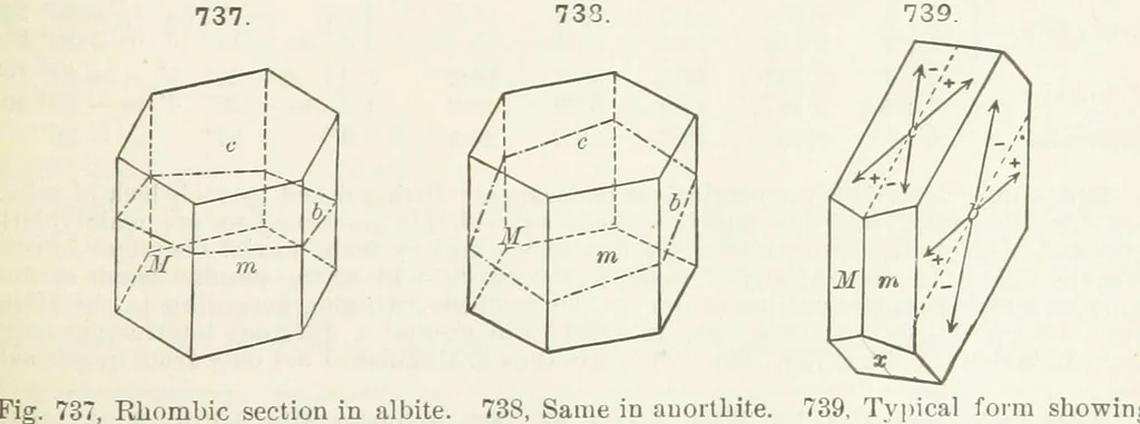 An illustration from A Text-Book of Mineralogy. With an extended treatise on crystallography and physical mineralogy ... on the plan and with the co-operation of ... James D. Dana ... With ... woodcuts ... Newly revised and enlarged. 17th edition, etc, 1898, leaf 393