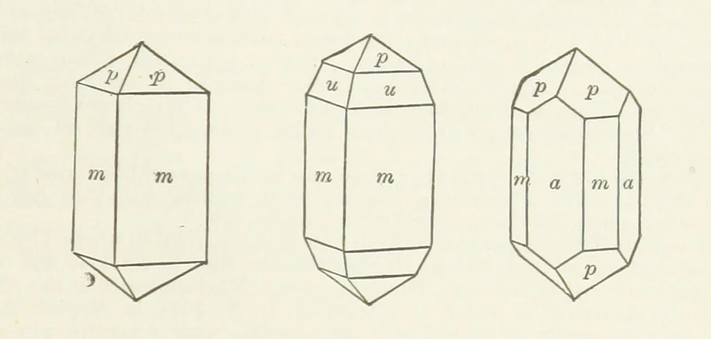 An illustration from A Text-Book of Mineralogy. With an extended treatise on crystallography and physical mineralogy ... on the plan and with the co-operation of ... James D. Dana ... With ... woodcuts ... Newly revised and enlarged. 17th edition, etc, 1898, leaf 447