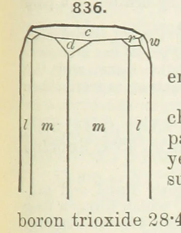 An illustration from A Text-Book of Mineralogy. With an extended treatise on crystallography and physical mineralogy ... on the plan and with the co-operation of ... James D. Dana ... With ... woodcuts ... Newly revised and enlarged. 17th edition, etc, 1898, leaf 449