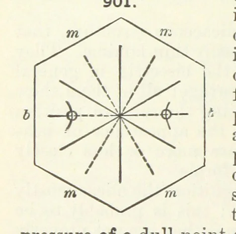 An illustration from A Text-Book of Mineralogy. With an extended treatise on crystallography and physical mineralogy ... on the plan and with the co-operation of ... James D. Dana ... With ... woodcuts ... Newly revised and enlarged. 17th edition, etc, 1898, leaf 482