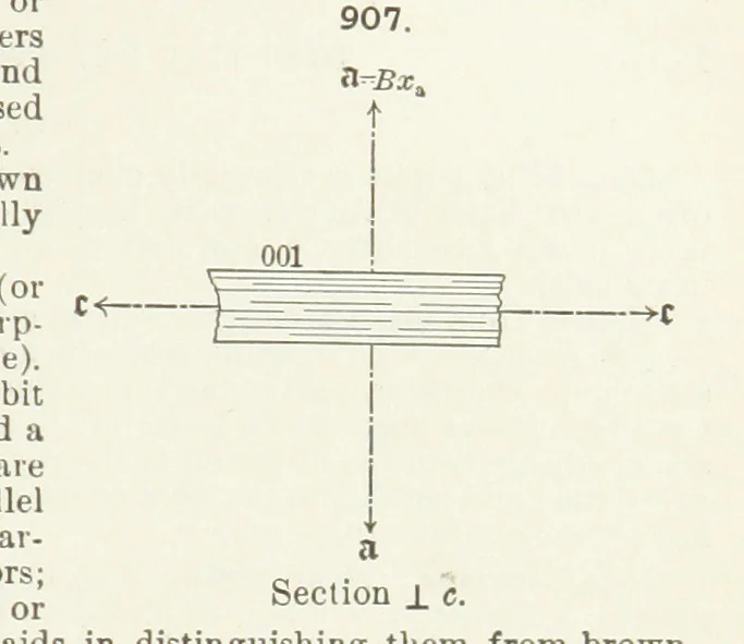An illustration from A Text-Book of Mineralogy. With an extended treatise on crystallography and physical mineralogy ... on the plan and with the co-operation of ... James D. Dana ... With ... woodcuts ... Newly revised and enlarged. 17th edition, etc, 1898, leaf 487